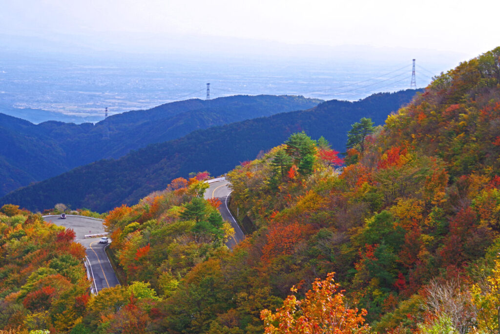 【紅葉ドライブの決定版】伊吹山の秋色絶景×関ケ原グルメ&竹ランタンの幻想旅🍂✨