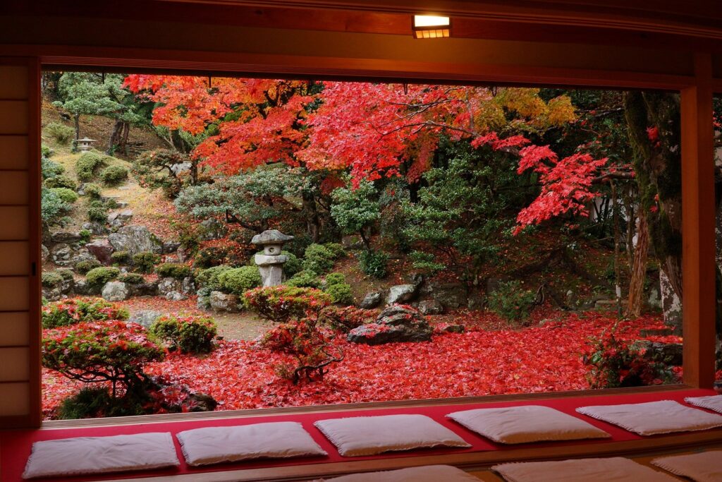 【秋色グラデーション旅】関ケ原・垂井・養老・米原の紅葉が美しすぎる🍁行きたくなるスポットだけ厳選✨🍂花伊吹期間限定ランチ、竹灯籠の光散歩🌙